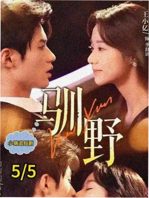 隐秘的角落-热播电视剧免费观看